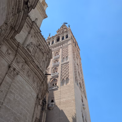 PXL_20250525_142412293